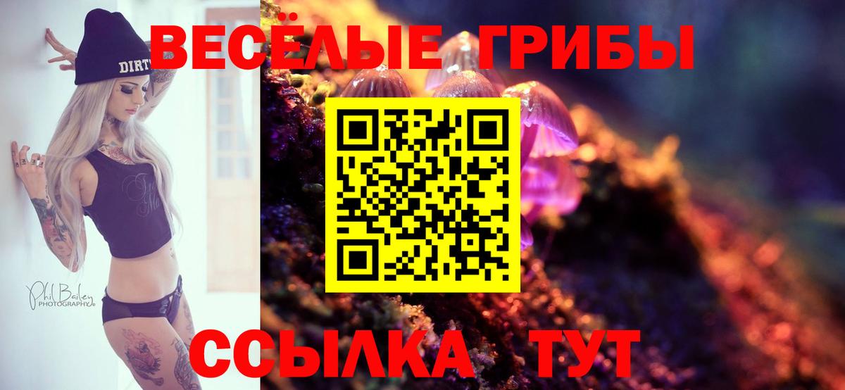 Галлюциногенные грибы Magic Shrooms  Вход с VPN  Нижнекамск  Галлюциногенные грибы MAGIC MUSHROOMS 