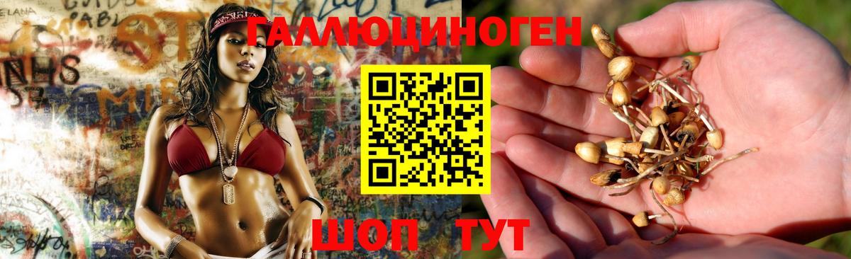 Псилоцибиновые грибы прущие грибы Нижнекамск